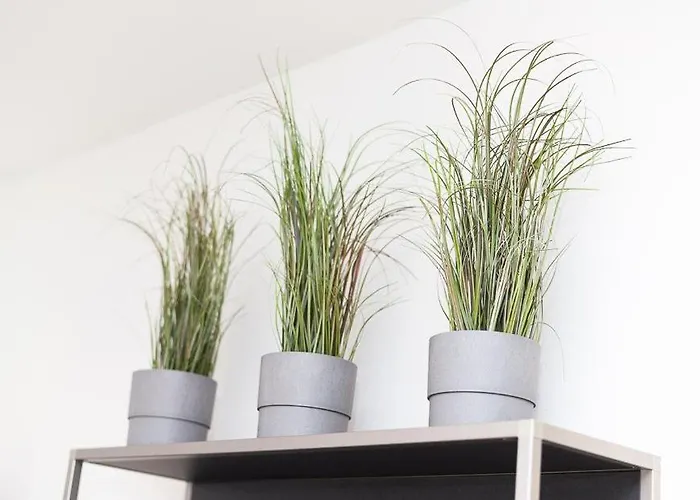 Nyaraló Duenenperle Esens